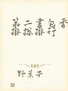 第二书包香辣肉排总排行