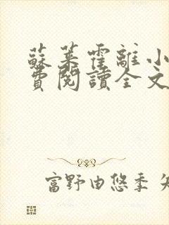 苏莱霍离小说免费阅读全文封面