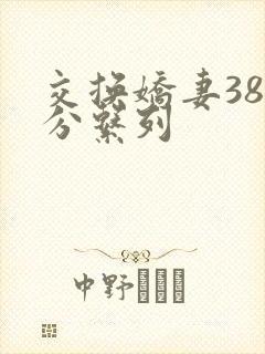 交换娇妻38部分系列