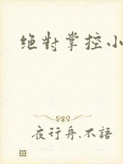 绝对掌控小说封面