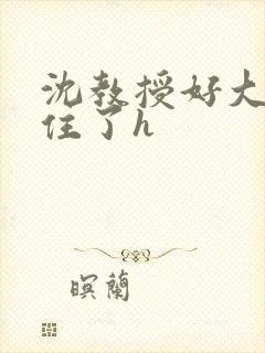 沈教授好大含不住了h