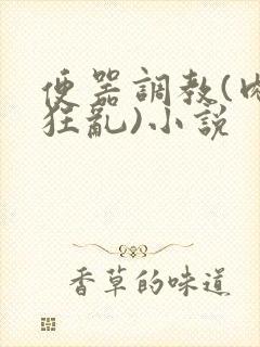 便器调教(肉体狂乱)小说