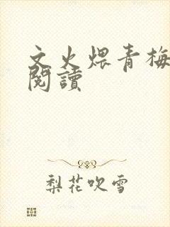 文火煨青梅免费阅读封面