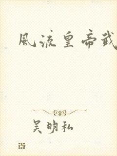 风流皇帝武则天封面