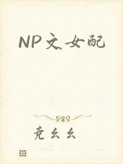 NP文女配封面