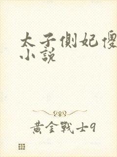 太子侧妃傻乎乎小说