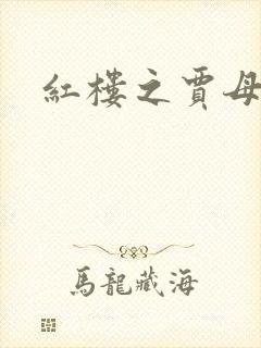 红楼之贾母封面