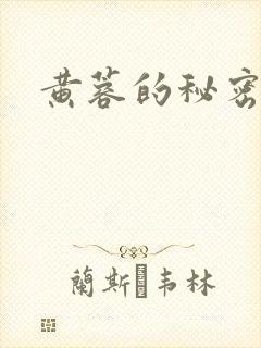 黄蓉的秘密封面