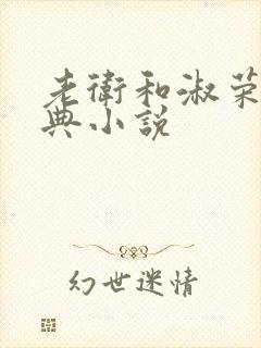 老卫和淑荣的经典小说封面