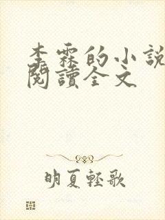 李霖的小说免费阅读全文