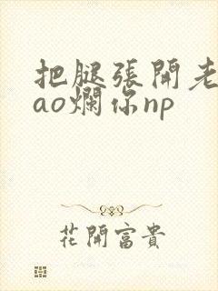 把腿张开老子cao烂你np封面