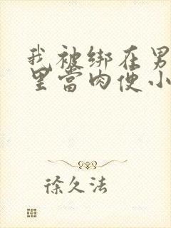 我被绑在男公厕里当肉便小说