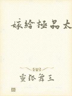 嫁给极品太子封面