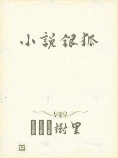 小说银狐