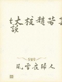 t大校赵若芸小说封面