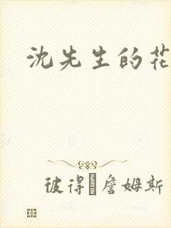 沈先生的花式调