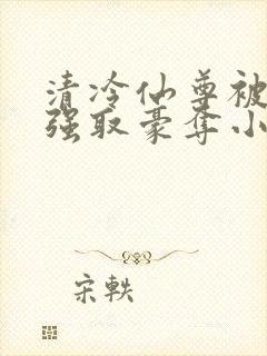 清冷仙尊被魔尊强取豪夺小说