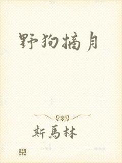 野狗摘月