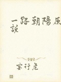 一路朝阳原著小说封面