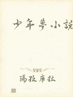 少年梦小说封面