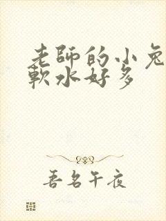 老师的小兔子好软水好多