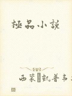极品小说
