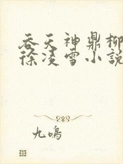 吞天神鼎柳无邪徐凌雪小说