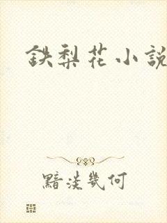 铁梨花小说