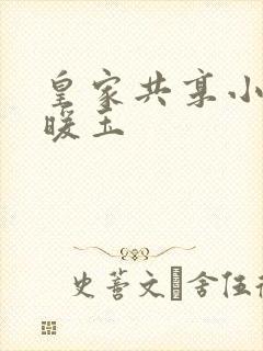 皇家共享小公主暖玉封面