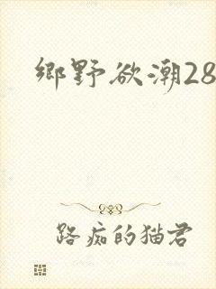 乡野欲潮28章