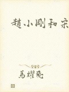 赵小刚和宋雨晴封面