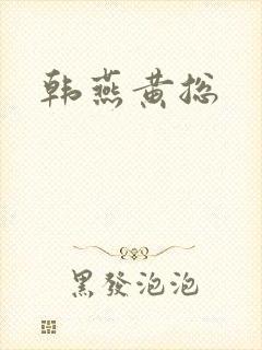 韩燕黄总封面