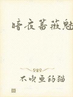 暗夜蔷薇魅