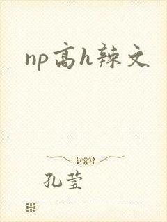 np高h辣文