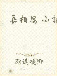 长相思 小说