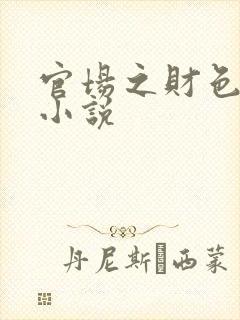 官场之财色诱人小说封面