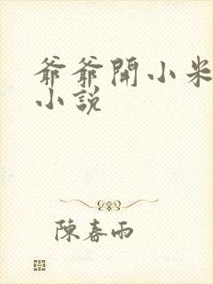 爷爷开小米的包小说