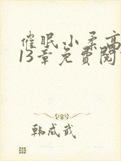 催眠小柔高达第13章免费阅读