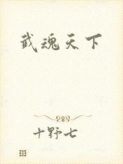 武魂天下