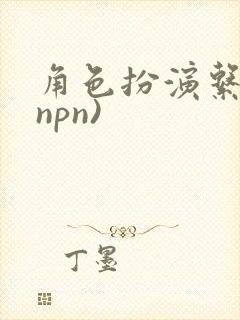 角色扮演系统(npn)封面