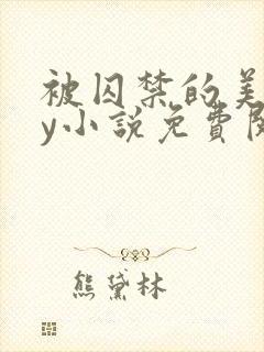 被囚禁的美人by小说免费阅读