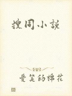 搜同小说封面