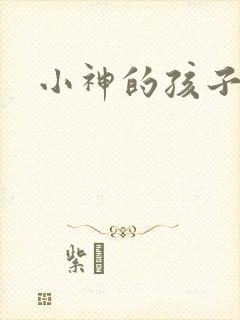小神的孩子们封面