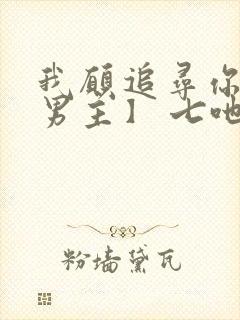 我愿追寻你【双男主】 七吔