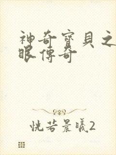 神奇宝贝之写轮眼传奇封面