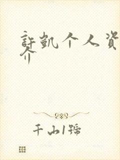 许凯个人资料简介封面