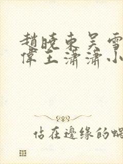 赵晓东吴雪晴郑伟王潇潇小说