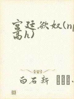 宫廷欲奴(np高h)