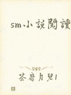 sm小说阅读封面