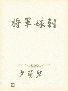 将军嫁到